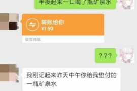 景德镇如何避免债务纠纷？专业追讨公司教您应对之策